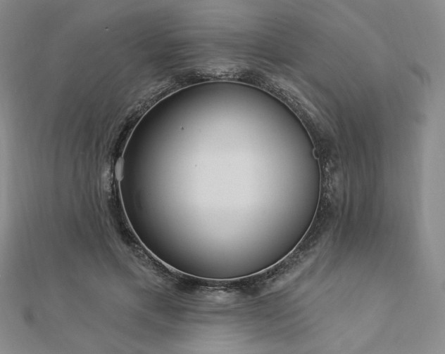 X0000113020597200908271435