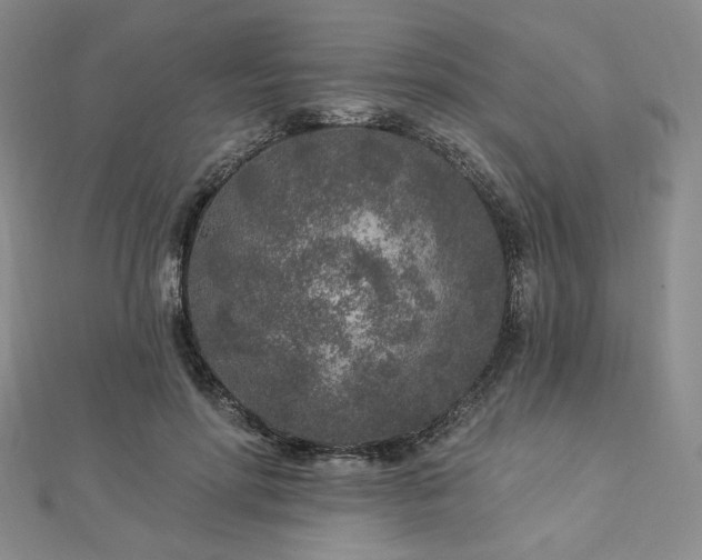 X0000113020598200908271435
