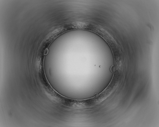 X0000113020599200908271435