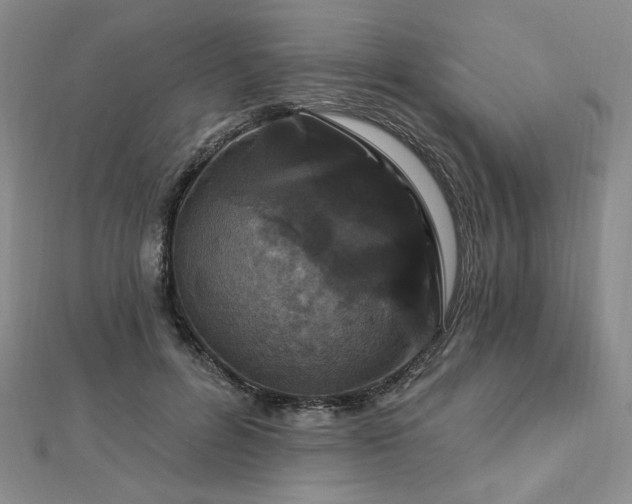 X0000113020600200908271435