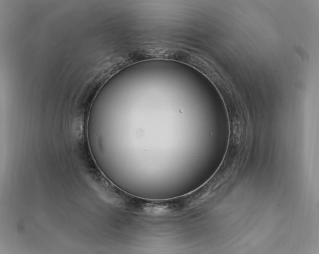 X0000113020602200908271435