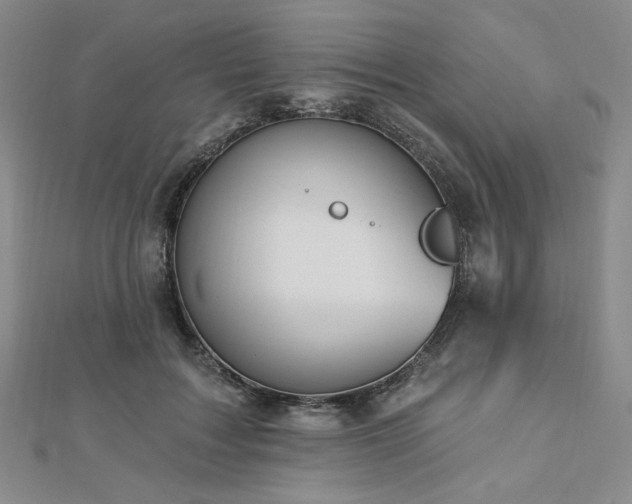 X0000113020603200908271435