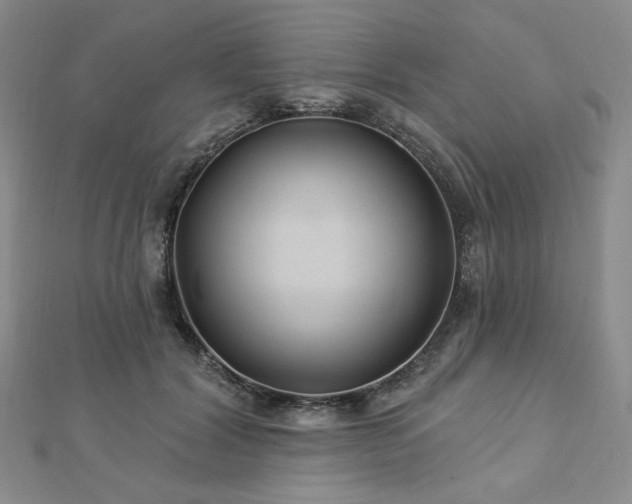 X0000113020604200908271435
