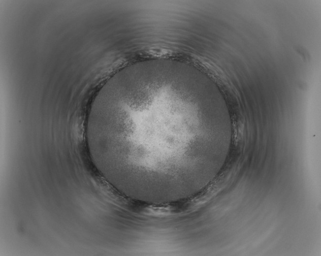 X0000113020606200908271435