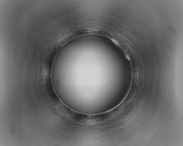 X0000113020608200908271435
