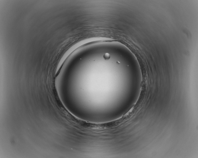 X0000113020611200908271435