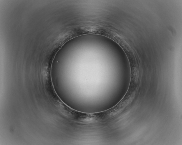 X0000113020612200908271435