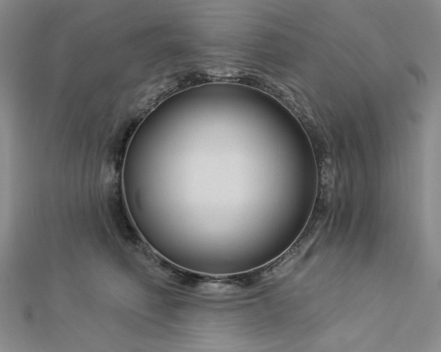 X0000113020614200908271435