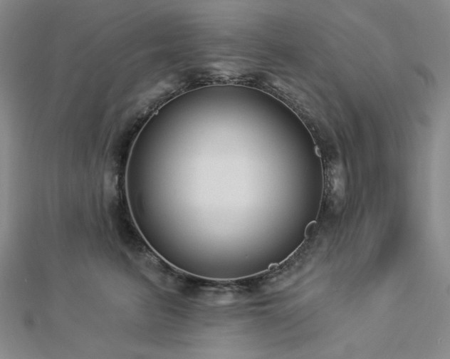 X0000113020615200908271435