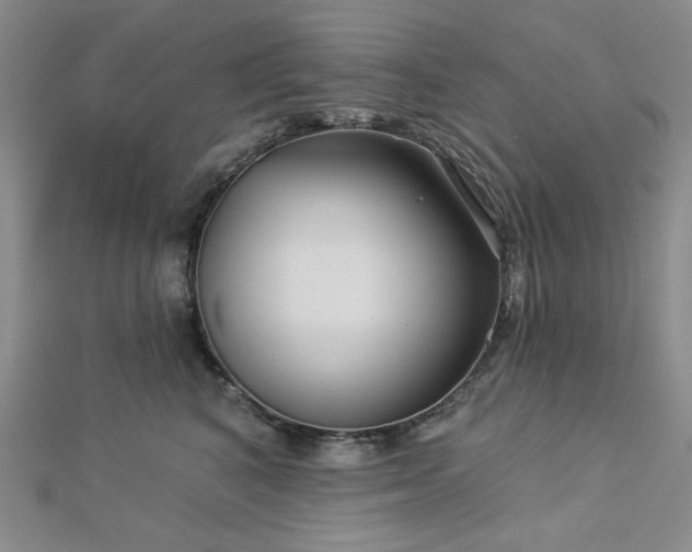 X0000113020616200908271435