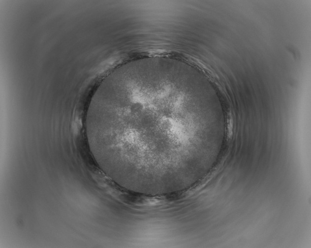X0000113020618200908271435
