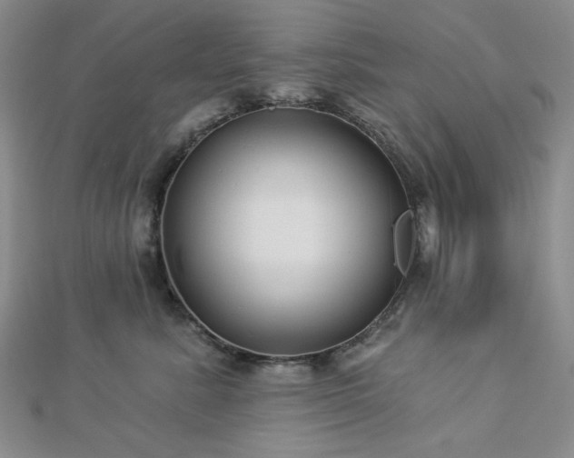 X0000113020619200908271435