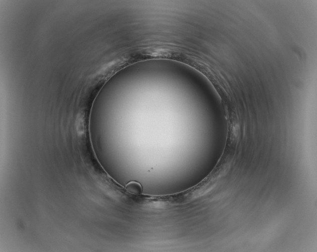 X0000113020620200908271435