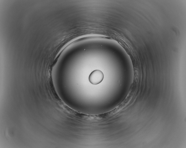 X0000113020621200908271435
