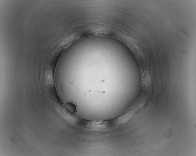 X0000113020622200908271435