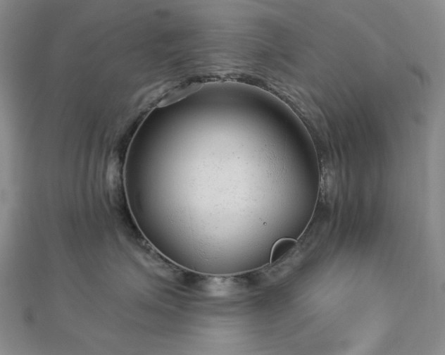 X0000113020623200908271435