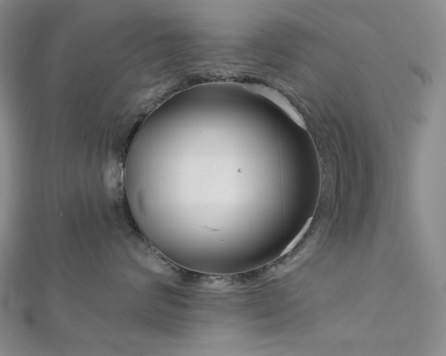 X0000113020624200908271435