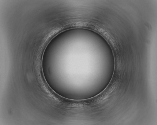 X0000113020625200908271434