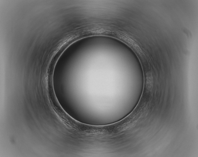 X0000113020626200908271434