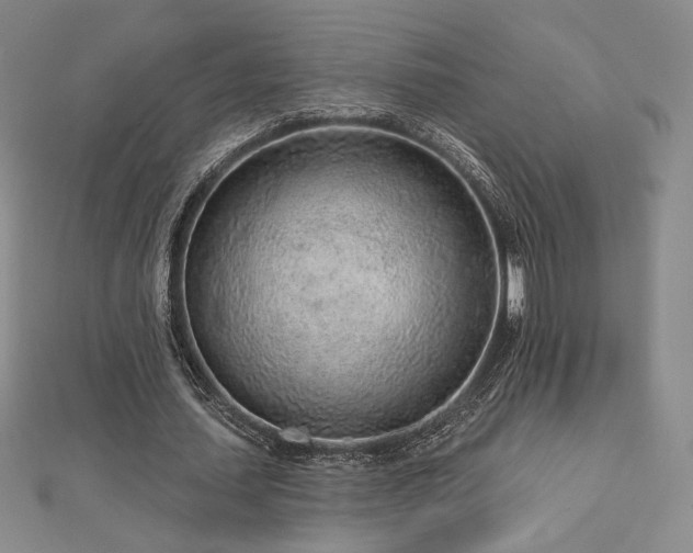 X0000113020627200908271434