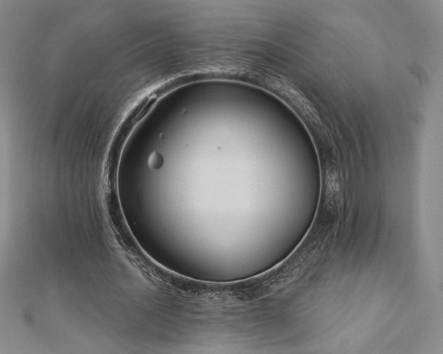 X0000113020628200908271434