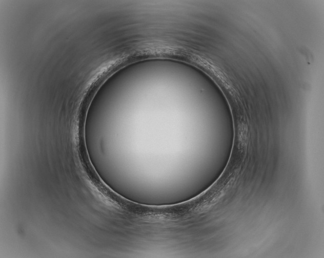 X0000113020629200908271434