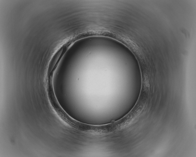 X0000113020630200908271434