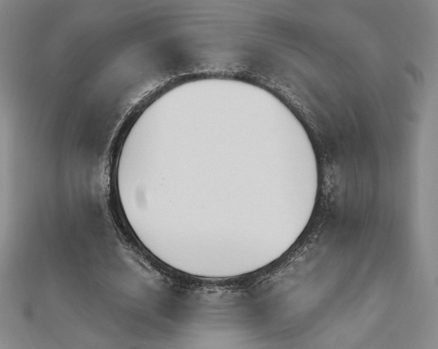 X0000113020632200908271434