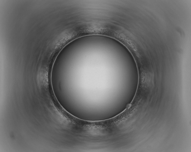 X0000113020633200908271434
