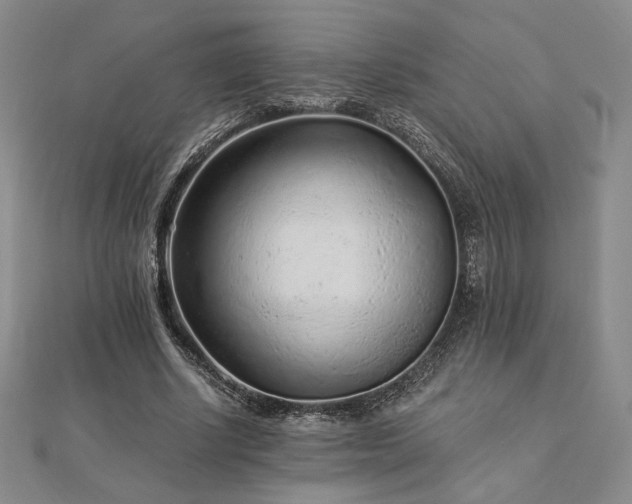 X0000113020634200908271434