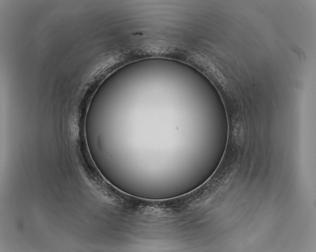X0000113020635200908271434