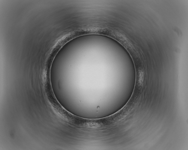 X0000113020636200908271434