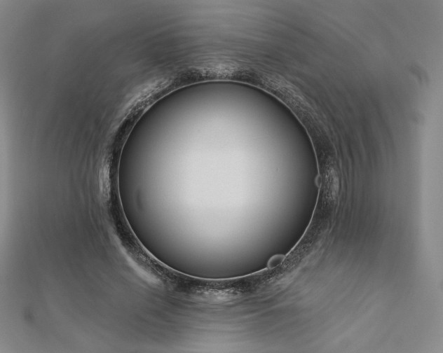 X0000113020638200908271434