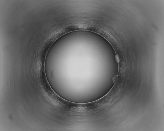 X0000113020639200908271434