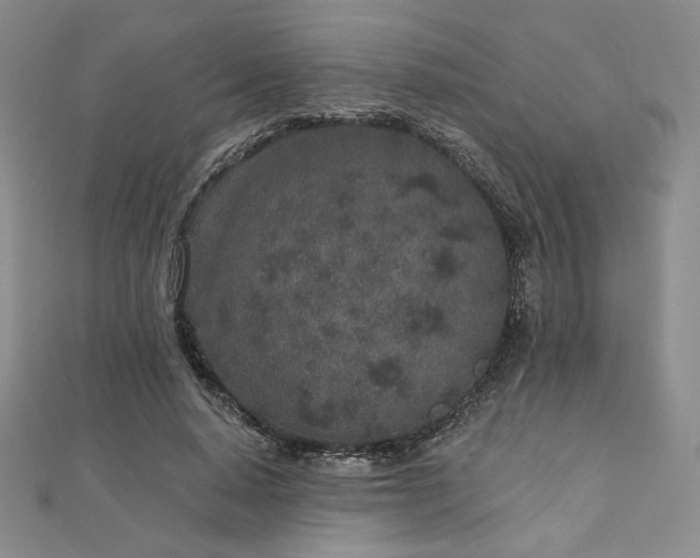 X0000113020640200908271434