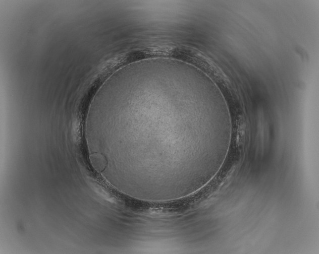X0000113020641200908271434