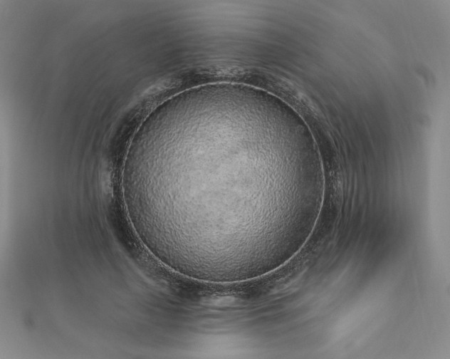 X0000113020643200908271434