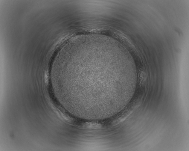X0000113020644200908271434