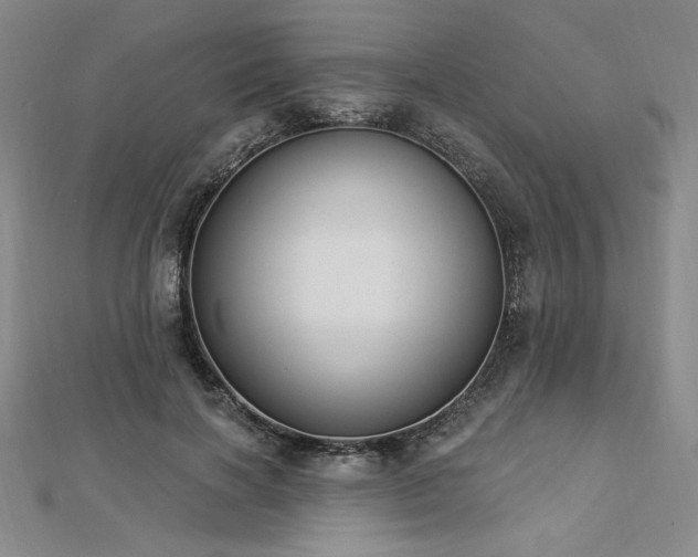 X0000113020646200908271434
