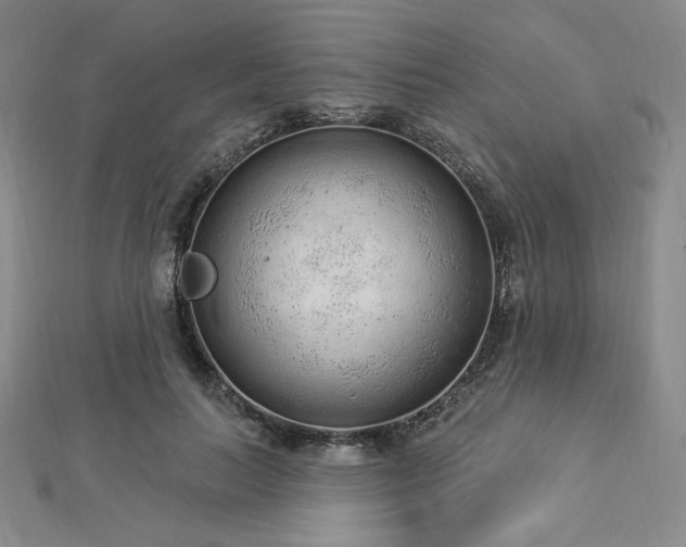 X0000113020647200908271434