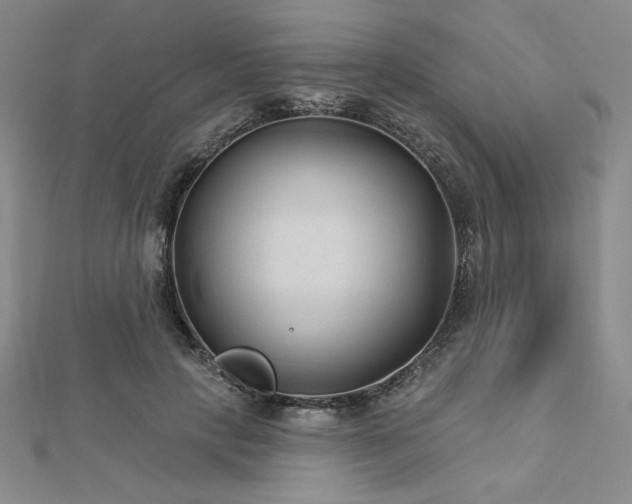 X0000113020649200908271434