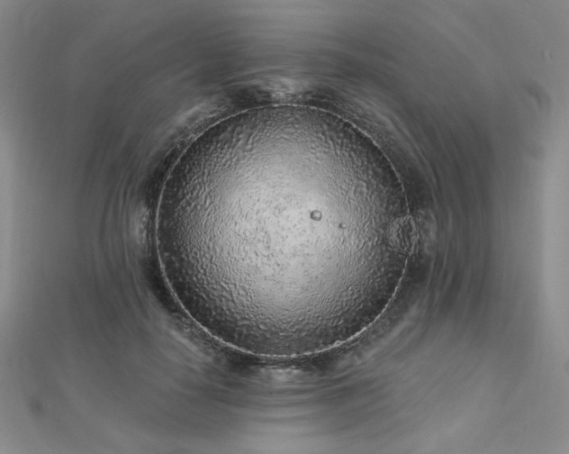 X0000113020650200908271434