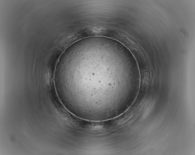 X0000113020651200908271434