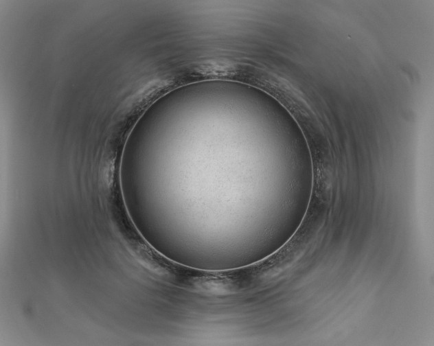 X0000113020652200908271434