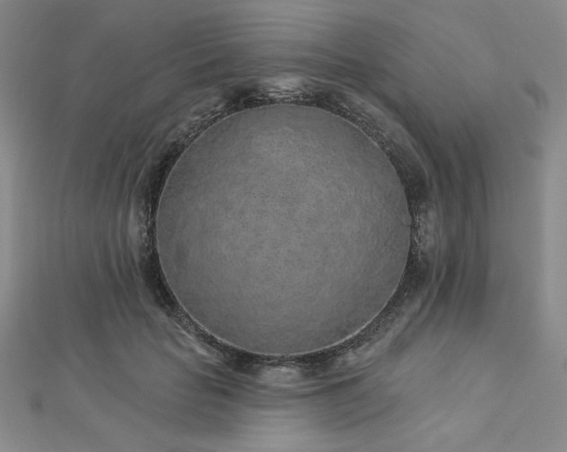 X0000113020653200908271434