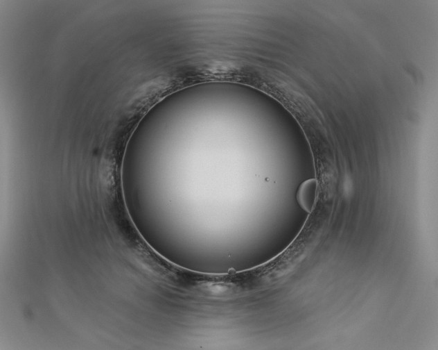 X0000113020654200908271434