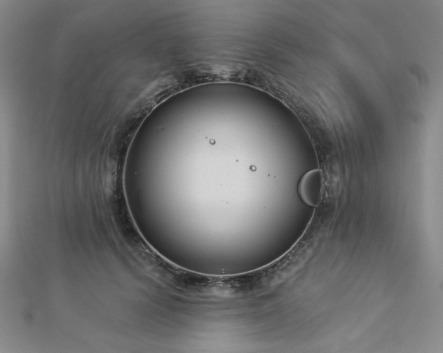 X0000113020656200908271434