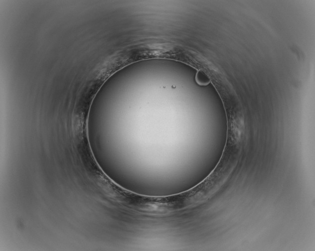 X0000113020657200908271434