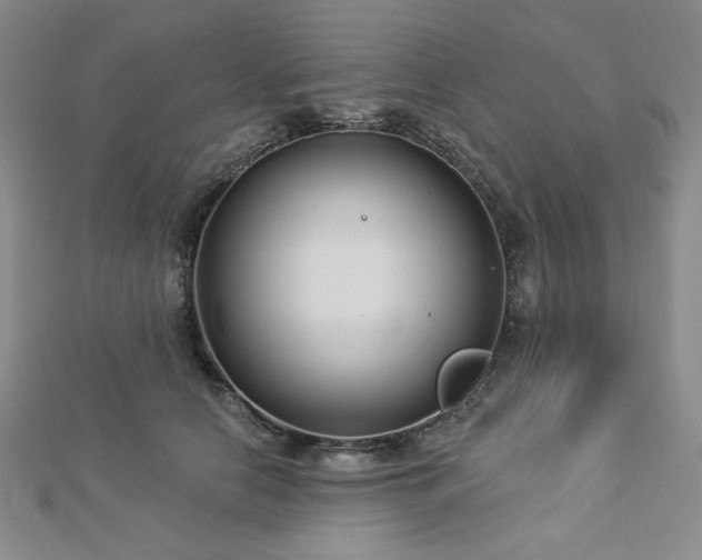 X0000113020658200908271434