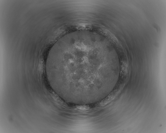 X0000113020659200908271434